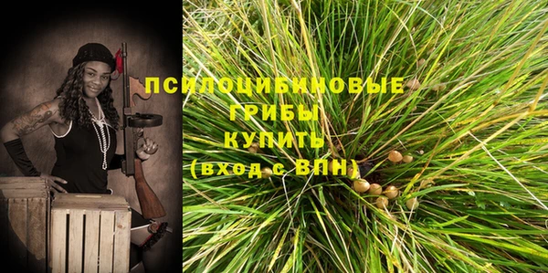 герыч Вяземский