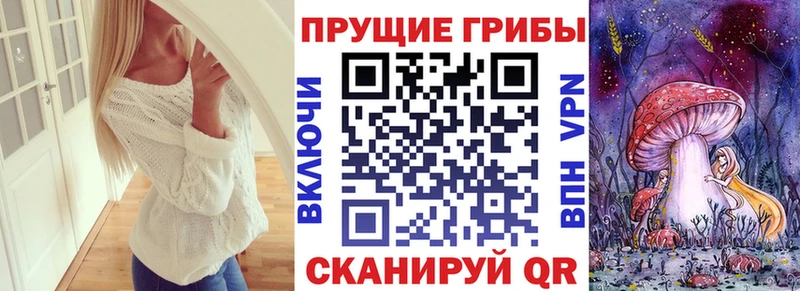 где найти наркотики Ростов-на-Дону Псилоцибиновые грибы прущие грибы